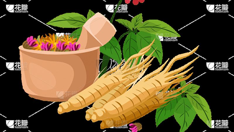 中医康复医院价格背后的考量因素