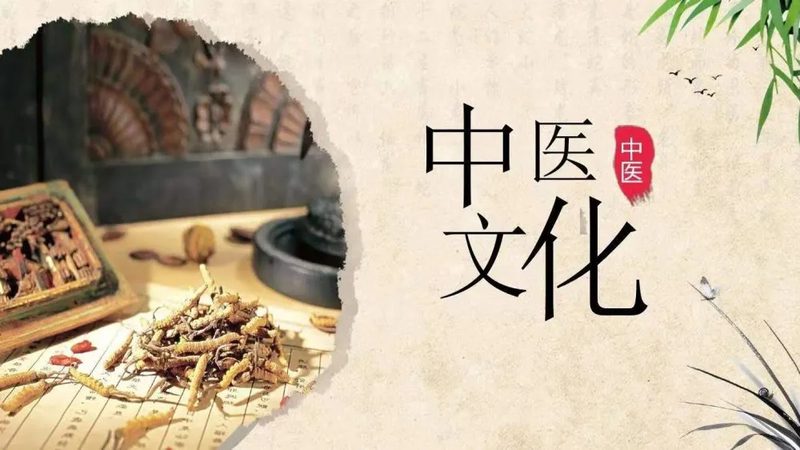 针灸针生产设备：揭秘其背后的工艺与标准